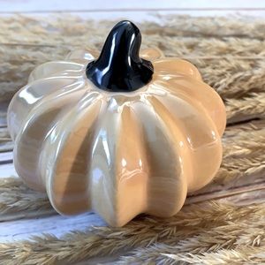 2/$16 CUTE Cream Iridescent Pumpkin NEW!!